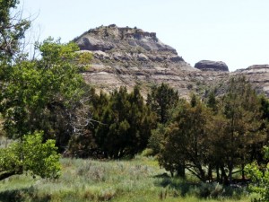 Juniper and grasslands stretch out over the Horse Creek Easement